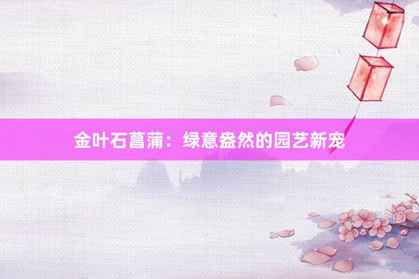 金叶石菖蒲：绿意盎然的园艺新宠